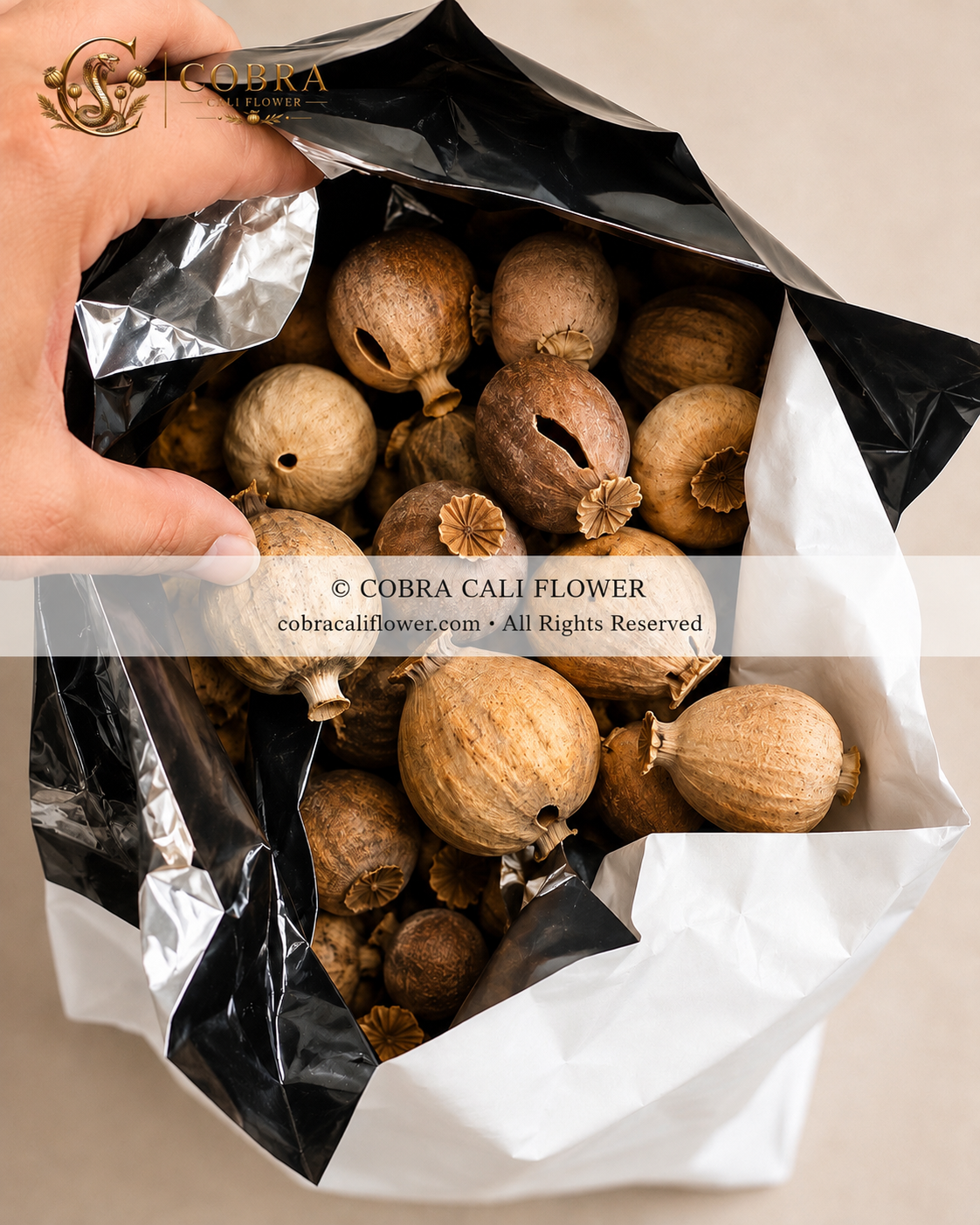 220g Spanish Dried Poppy Pods