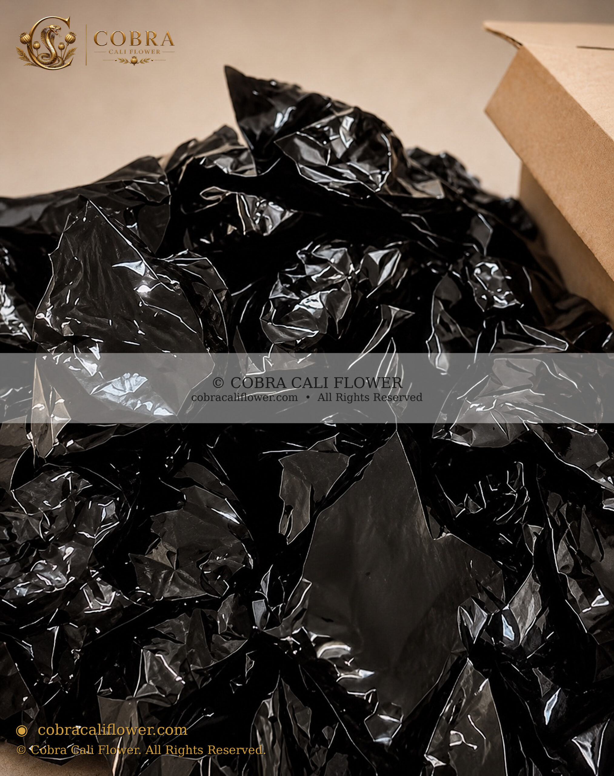 220g Spanish Dried Poppy Pods