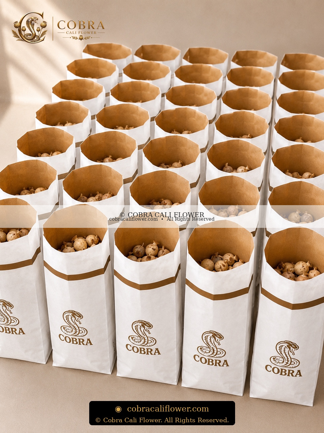 Cobra Bag — Austrian Dried Poppy Pods